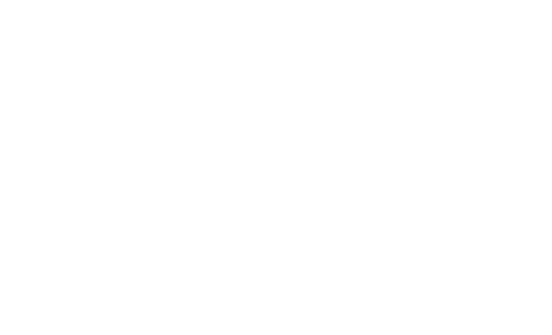 SpeedShot Photography